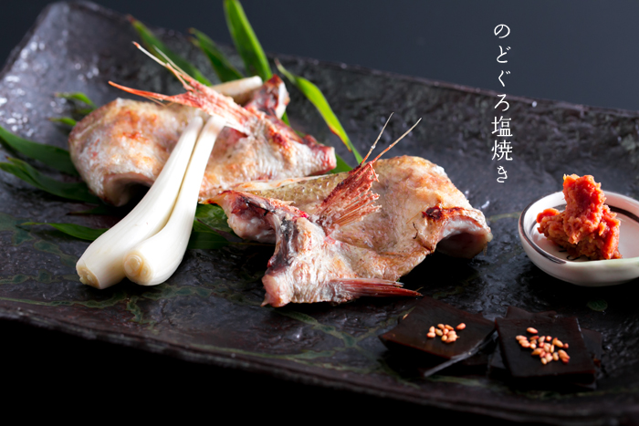 �̂ǂ��뉖�Ă��@�m�h�O���@�A�J���c