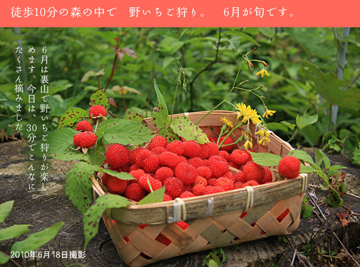 �삢������