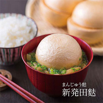 �p�����ف@���݂₰�蒟�@�V���c�n