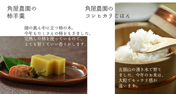 �p���_���̊`�r㻂ƃR�V�q�J������