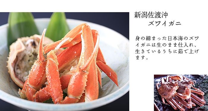 �^���o�K�j�ƃY���C�K�j