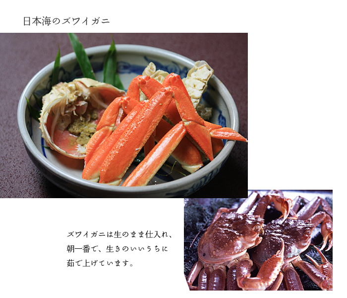 �C�̍K�����v����