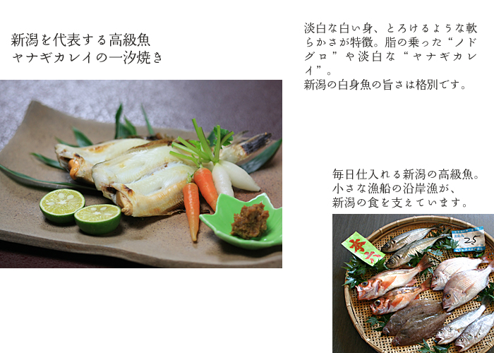�C�̍K�����v�����@���i�M�J���C