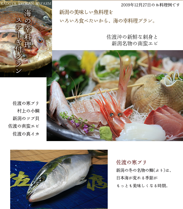 �C�̍K�����v����