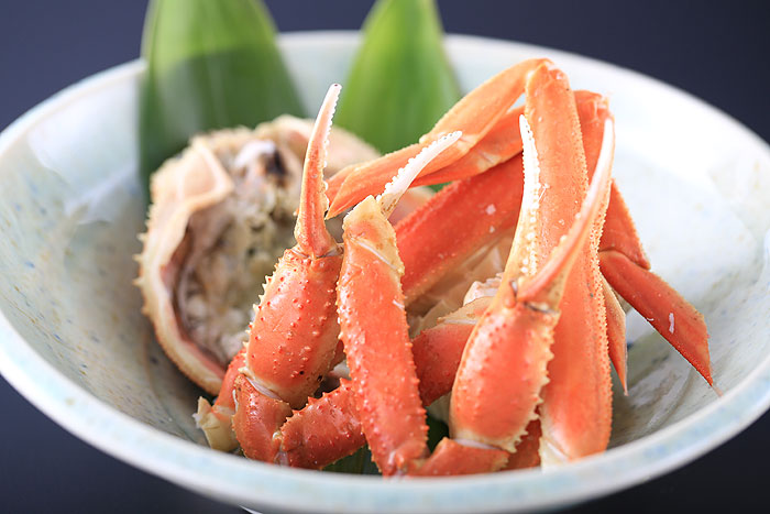 �V���̉��򗷊قŊI����