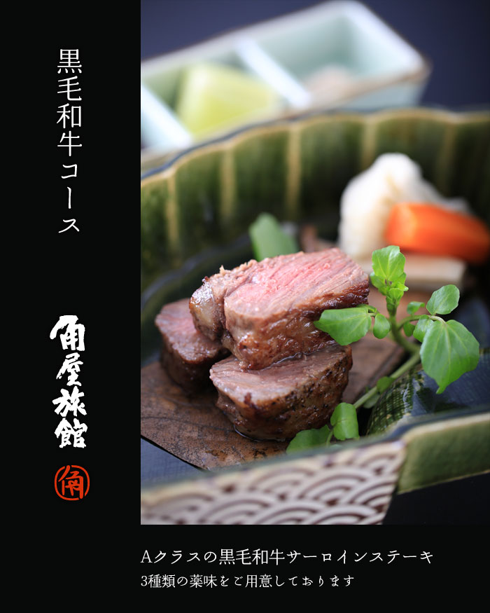 ���јa���T�[���C���X�e�[�L�@�V�����p������