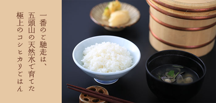 �ܓ��R�[�V�R���R�V�q�J�����͂�