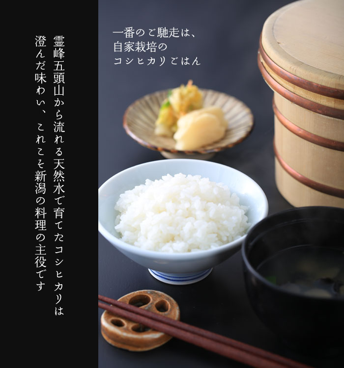 �R�V�q�J�����͂�