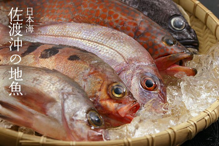 ���n���̒n�������܂�