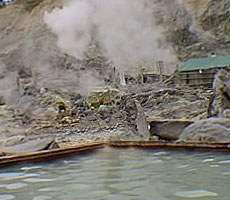 �ʐ쉷��̘I�V���C