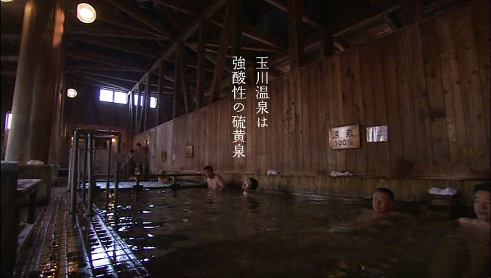 �ʐ쉷��̗���