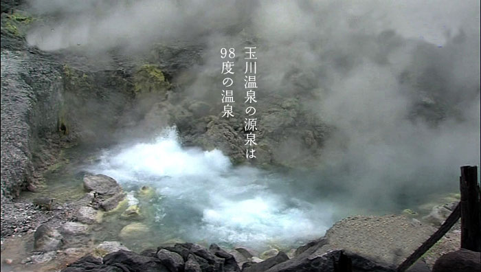 �ʐ쉷��̌����98�x�̍�����