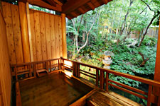 �ݐؘI�V���C�u�|�΂₵�̓��v