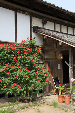 �đ��̕ǂ�����^���Ԃȃo�����ڂ��Ђ�