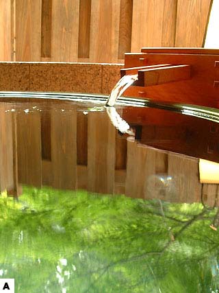 �I�V���C���q���u���݂����v