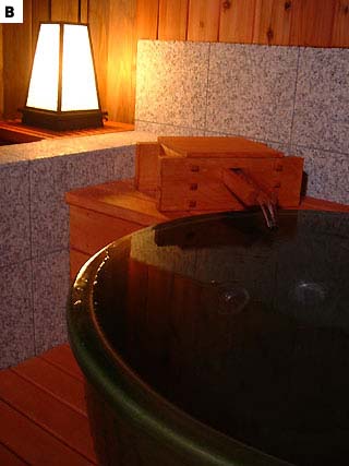 �I�V���C�t�q��