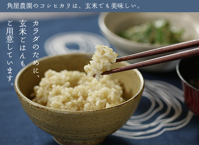 �J���_�̂��߂ɁA���Ă��͂�����p�ӂ��Ă��܂��B