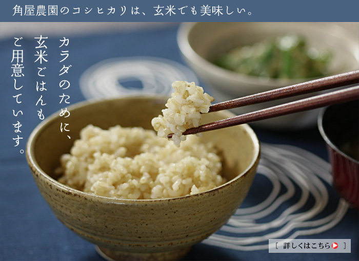 �J���_�̂��߂ɁA���Ă��͂�����p�ӂ��Ă��܂�