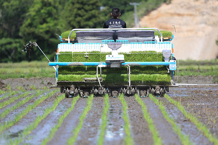 �����������Ă��H�ׂ���h