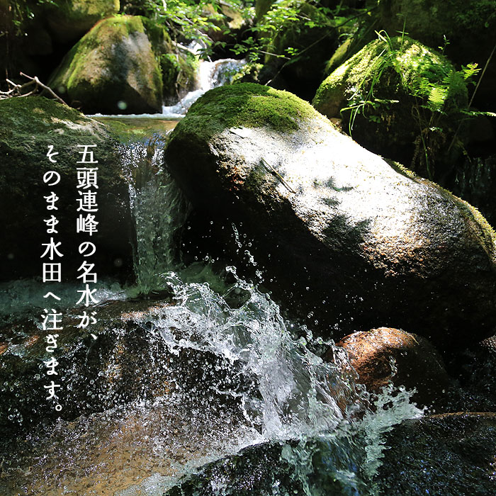 �ܓ��A��̖��������̂܂ܐ��c�֒����܂�