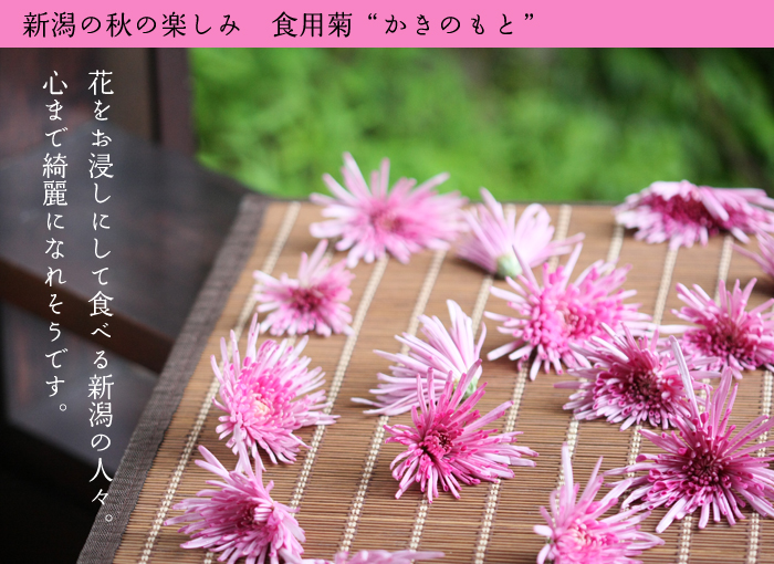 �����̂��Ɓ@�J�L�m���g