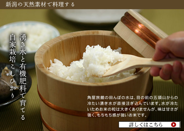 �N�����ƗL�@�엿�ň�Ă鎩�ƍ͔|�R�V�q�J��