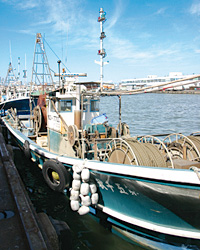 �����ȋ��D�����X�ƋA���Ă���