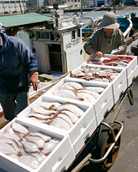 �v�w��l�ŋ��Ƃ��c�ޏM������