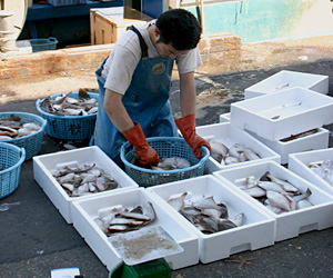 ���������C�̍K�́A�����t�̂������ł�