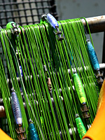 �C�J�ނ苙�D