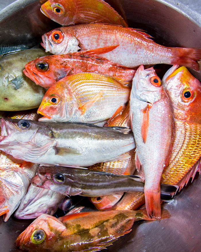 ���{�C�k���V���̋��`�Ő��g�������{���ɂ��������n��