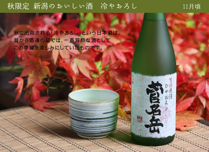 �����x��₨�낵