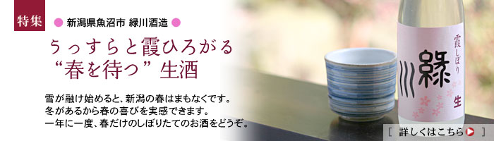 �g�t��҂h�����@�ΐ�@�����ڂ�