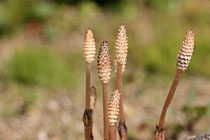 ��������ɂ���������������