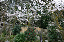 ���������I�V���C�̍������J�ɂȂ�܂���