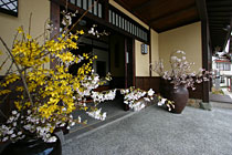 �p�����ق̌��ւ��������J�ł�