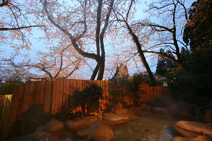 �����I�V���C�̍�