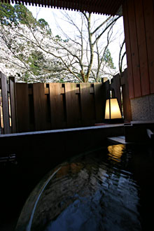 �I�V���C���q������̍�