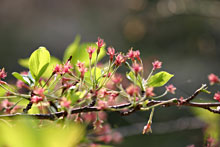 ���̌������I���܂���