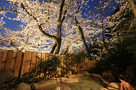 �Ԍ��I�V���C