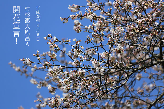 �����I�V���C�̍����J�Ԃ��܂���2013/04/09