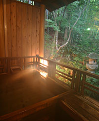 �ݐؘI�V���C�u�|�΂₵�̓��v