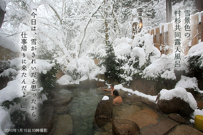 ��i�F�̑����I�V���C