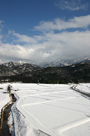 ���䂩��̑�������̐�i�F