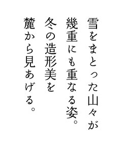 �ፑ�V���̊����~���z����̂́A���ꂽ���̐�i�F���C������������