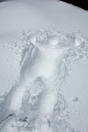 ���䂩��̑�������̐�i�F