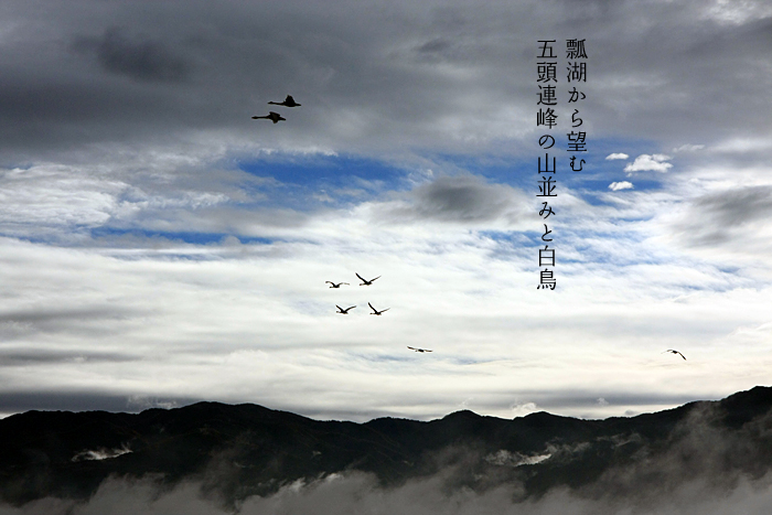 瓢湖から望む五頭連峰の山並みと白鳥