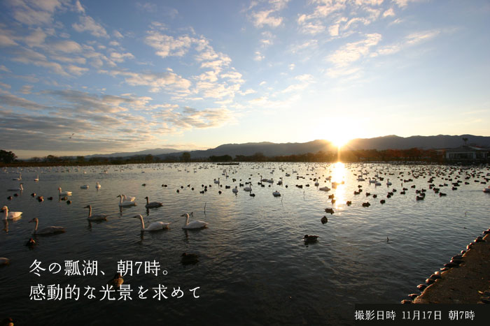 �~�̐V���@�Z�΂����̊����I�Ȍ��i�����߂�