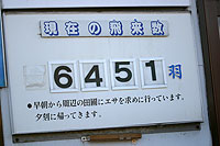 �����򗈐��@6451�H