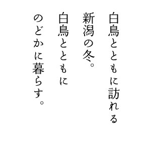 �����ƂƂ��ɖK���V���̓~�B